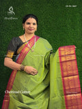Chettinad Cotton Plain Peacock Elephant Mehendi Green Magenta