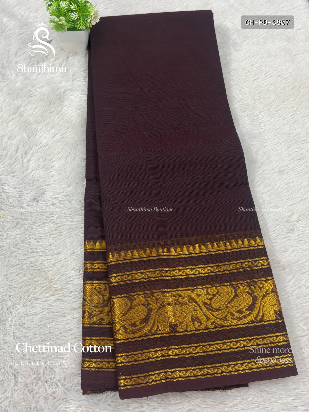 Chettinad Cotton Plain Peacock Big Border Coffee Brown Gold
