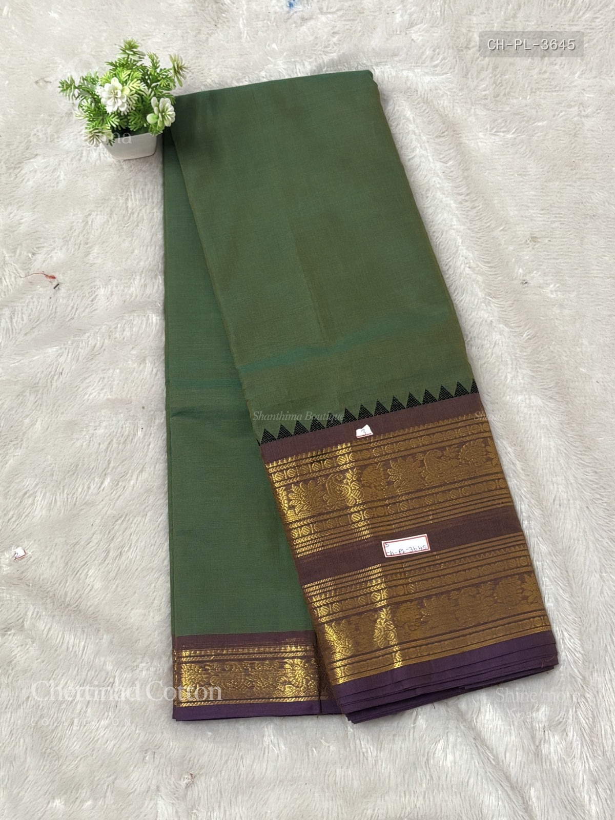 Chettinad Cotton Plain Mango Flower Dual Shade Green Lavender